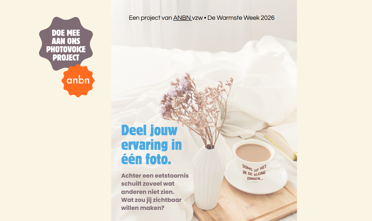 Voorbeeld van de Photovoice website van ANBN